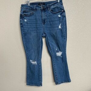 Judy Blue Women’s 14W Skinny Fit Distressed Capri Jeans Medium Wash